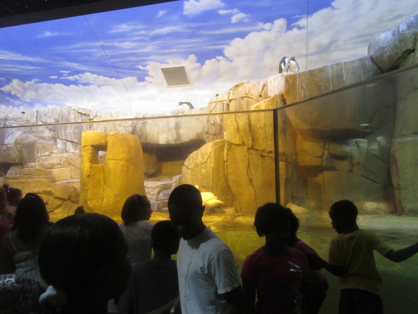 Sep. 2012-Penguin Coast