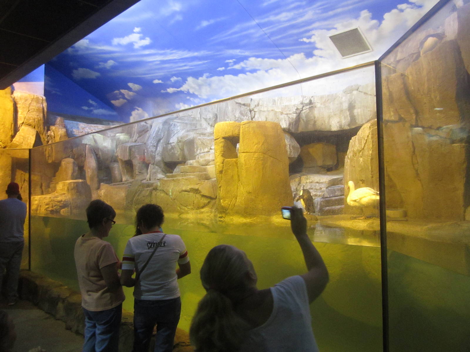 Sep. 2012-Penguin Coast