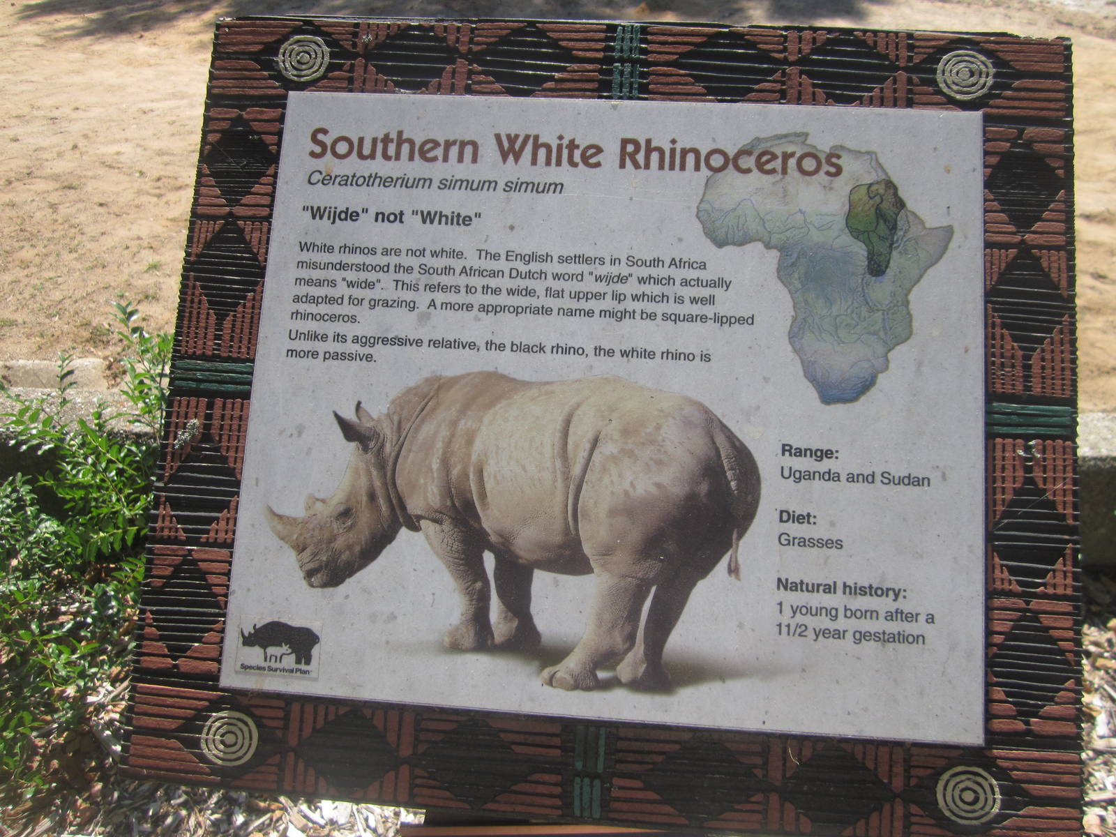 Sep. 2012-Rhinoceros sign