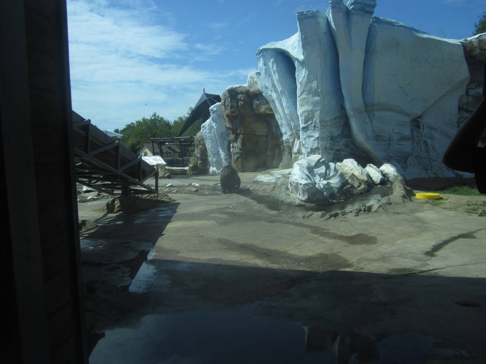 Sep. 2012-Rotating Bear exhibit