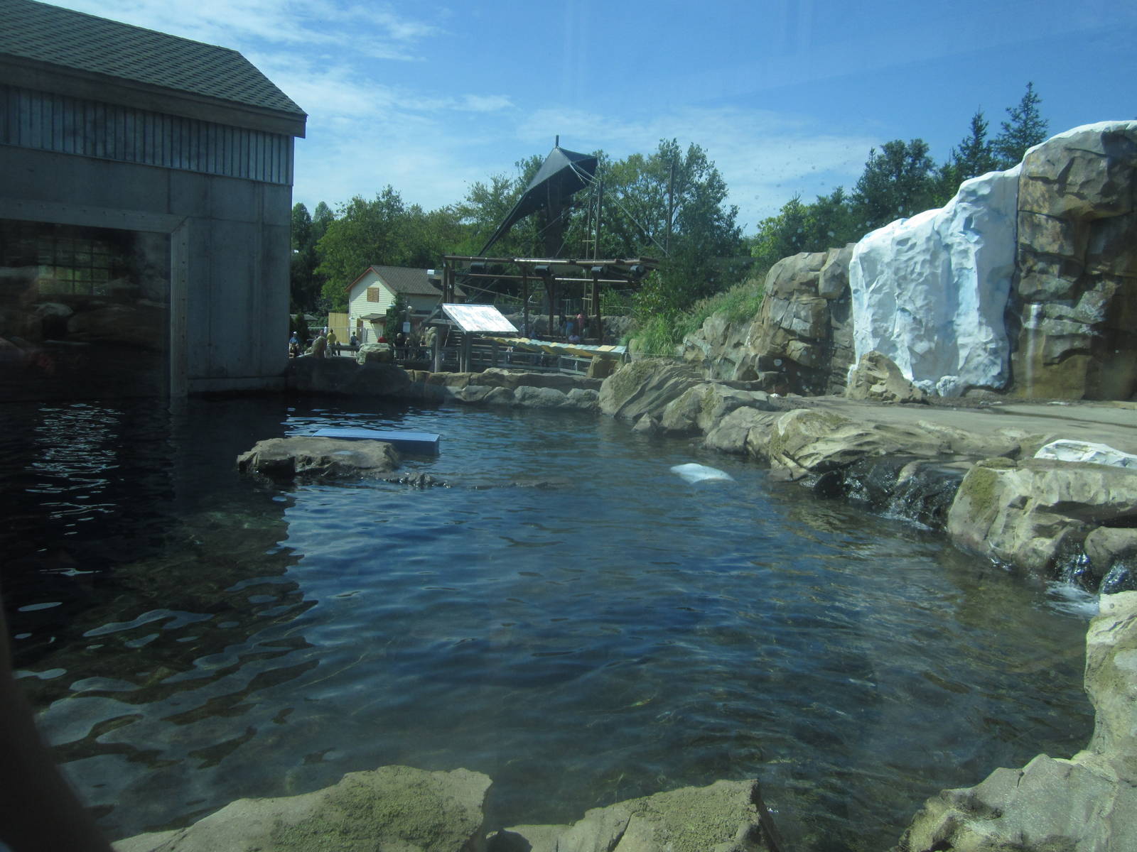 Sep. 2012-Rotating Bear exhibit