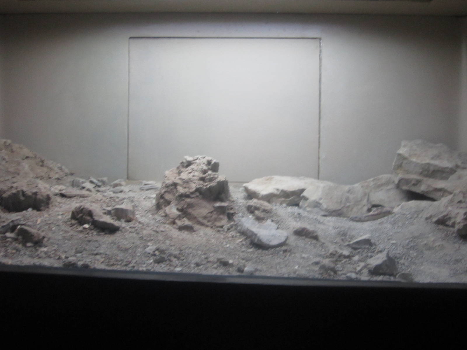 Sep. 2012-Rough-scaled Sand Boa exhibit