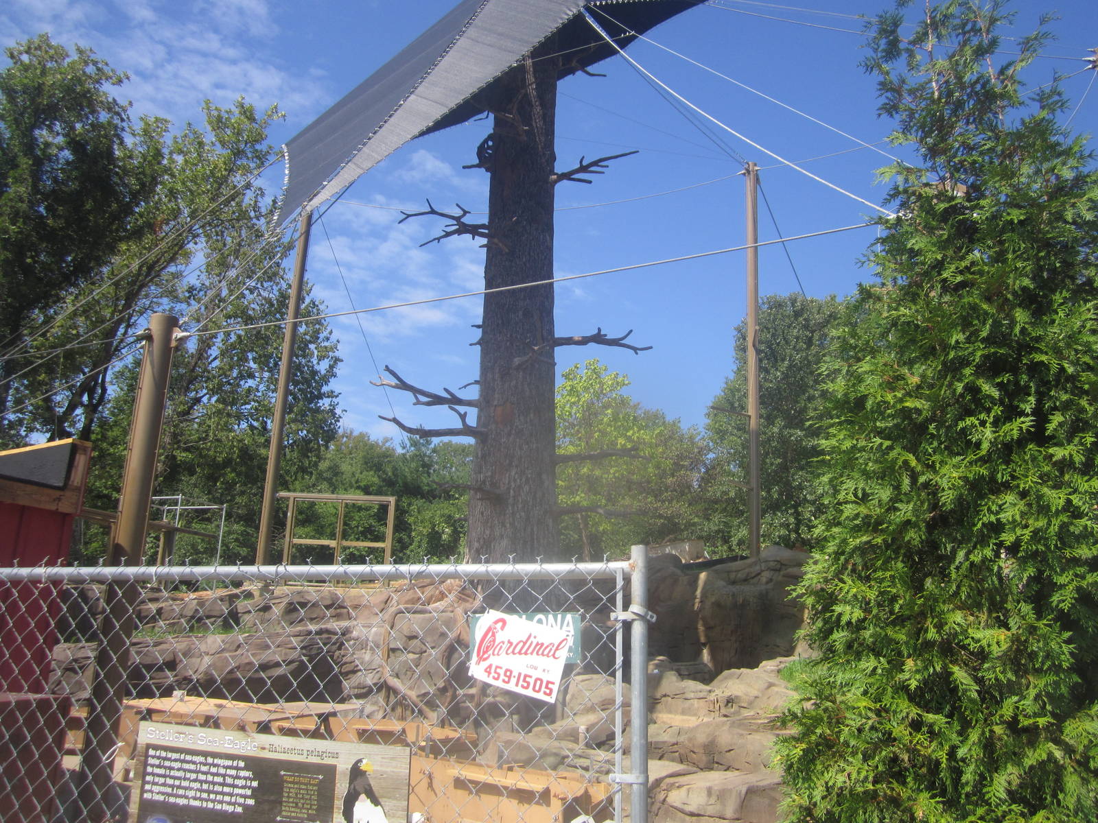 Sep. 2012-Steller's Sea Eagle aviary progress