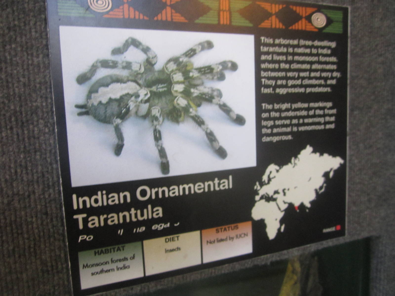 Sep. 2012-Tarantula sign