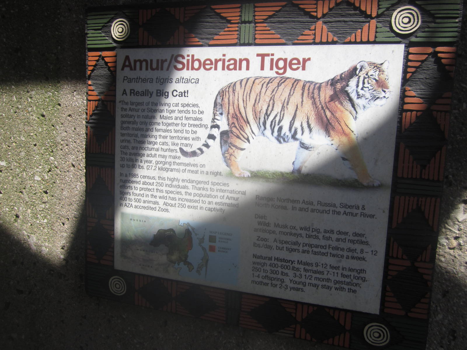 Sep. 2012-Tiger sign