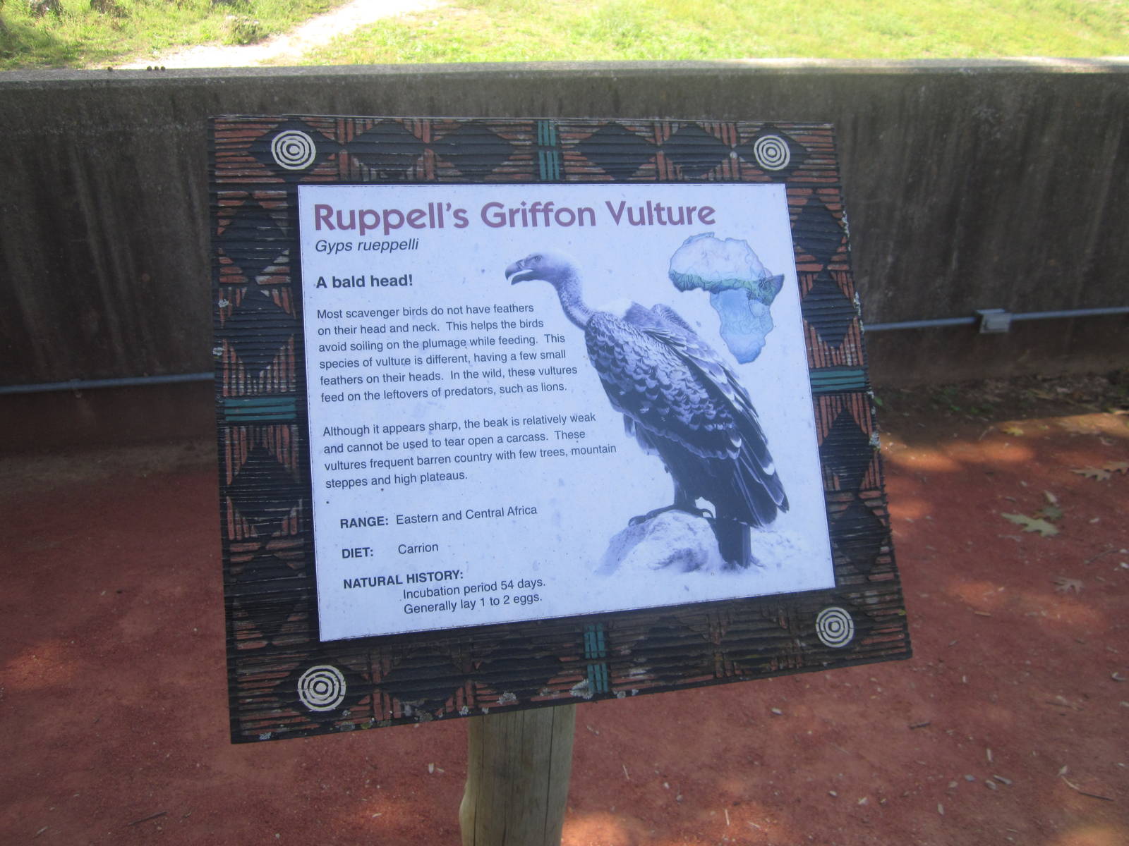 Sep. 2012-Vulture sign