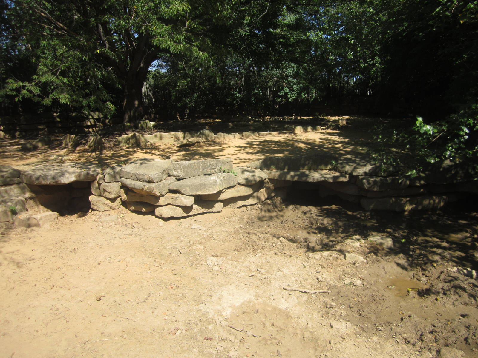 Sep. 2012-Warthog exhibit