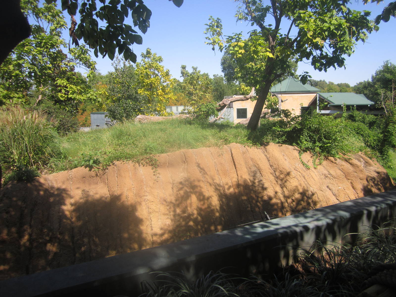 Sep. 2012-Western Lowland Gorilla exhibit
