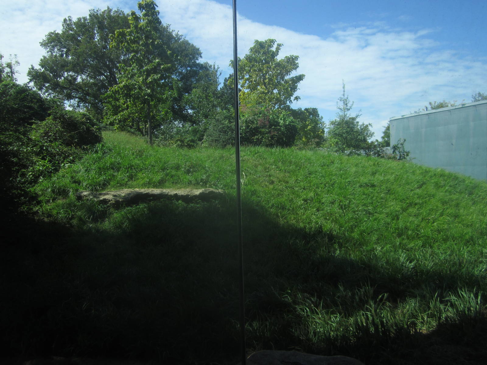 Sep. 2012-Western Lowland Gorilla exhibit