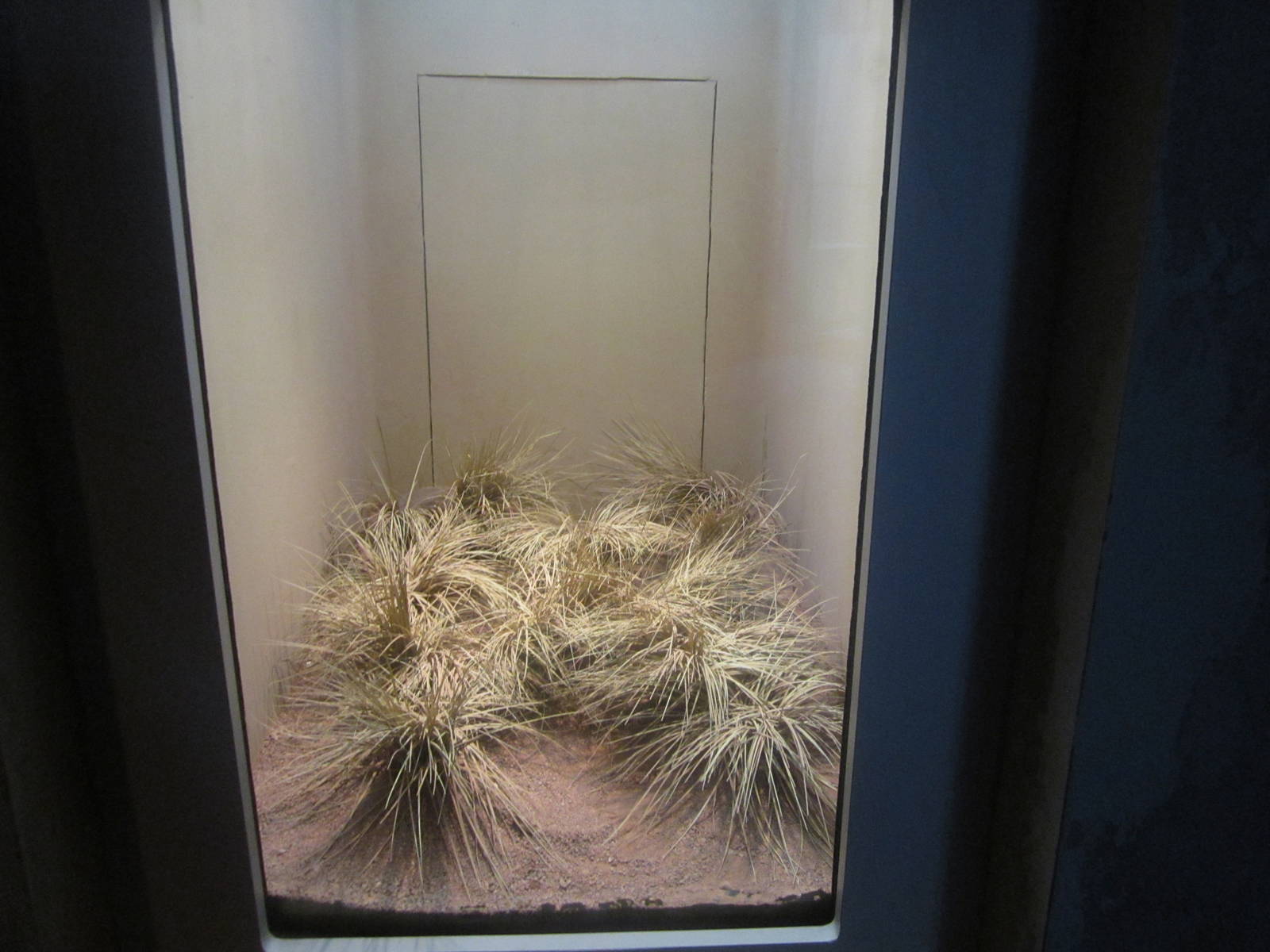 Sep. 2012-Woma exhibit