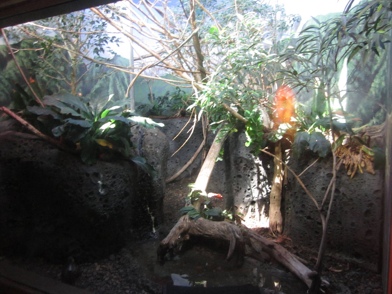 Sep. 2012-World of Birds exhibit