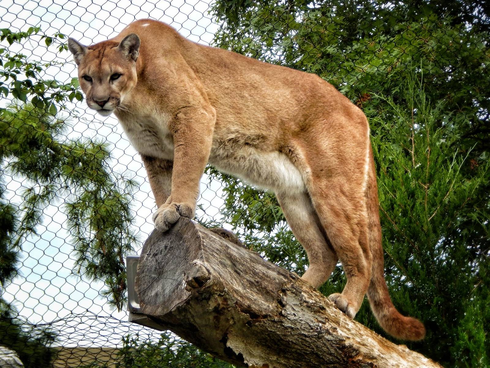Sep. 2014 - Cat Canyon - Joseph