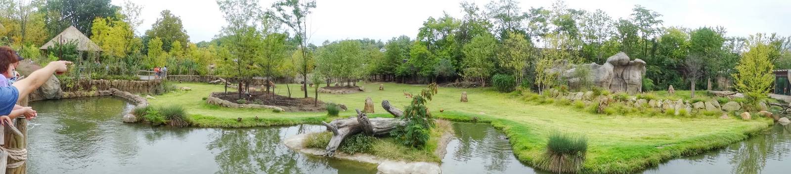 Sep. 2015 - Africa - African Plains Exhibit (Phase 4) + Lion Exhibit