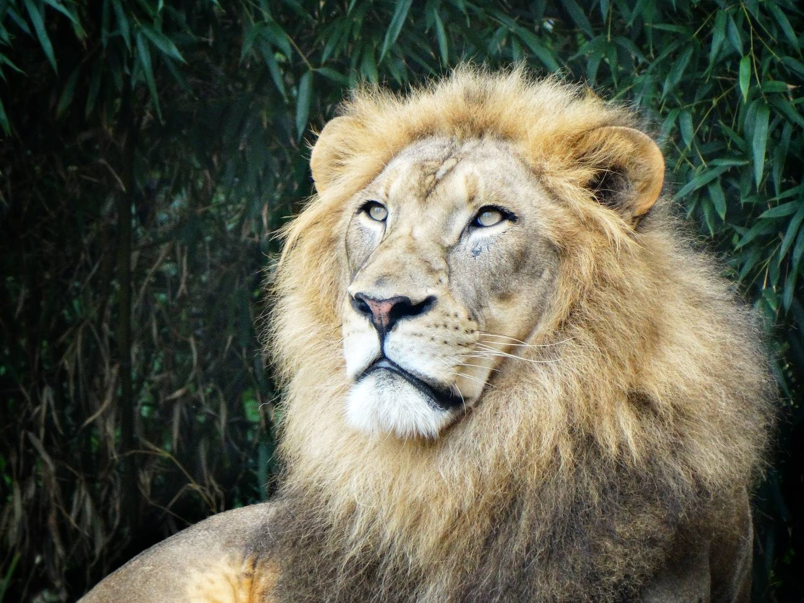 Sep. 2015 - Africa - John