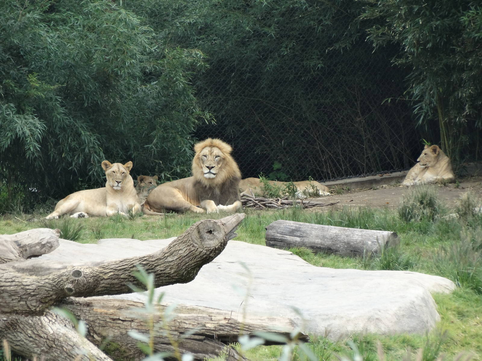 Sep. 2015 - Africa - John's Family 325 ft. Away