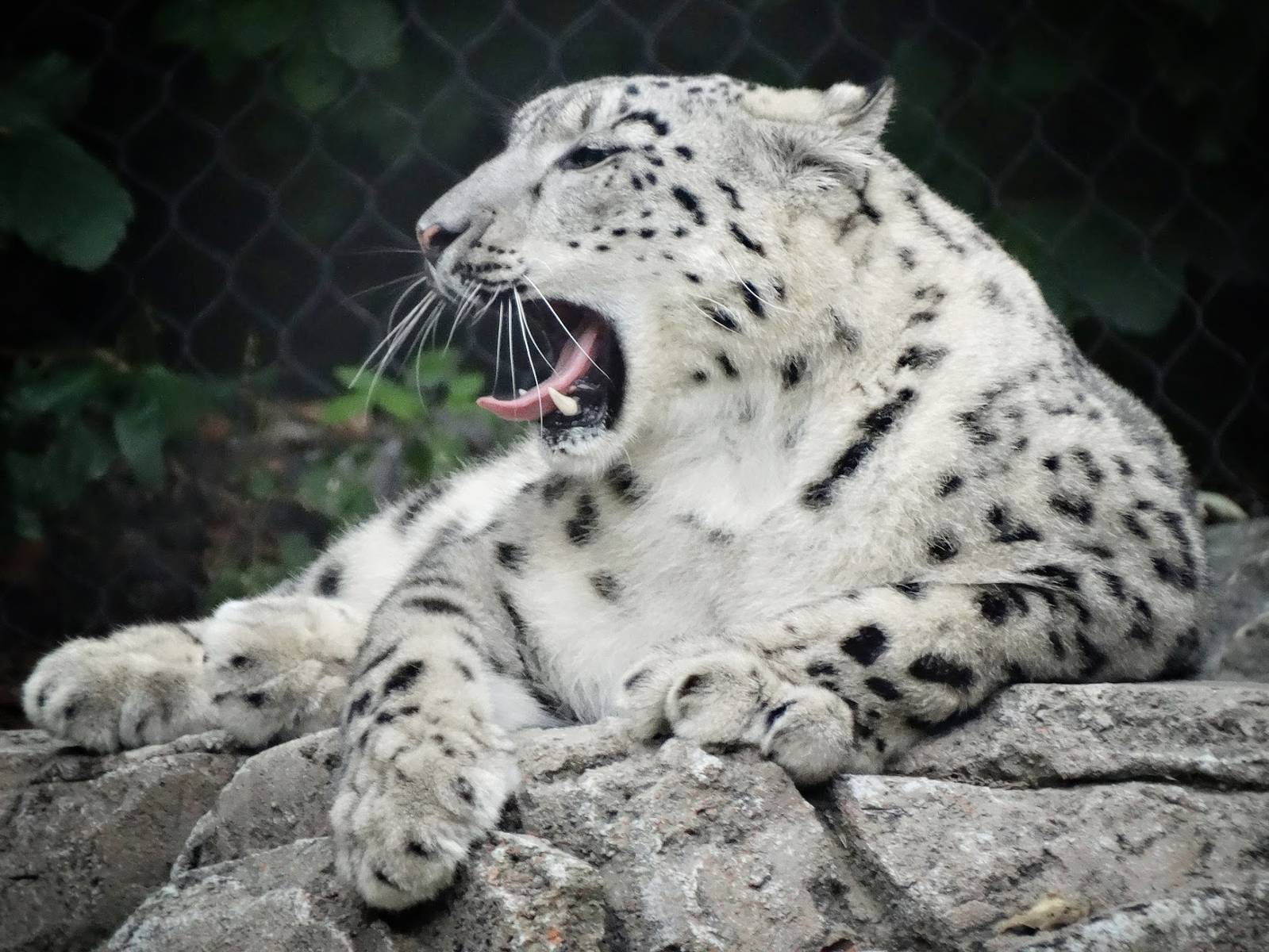 Sep. 2015 - Cat Canyon - Renji