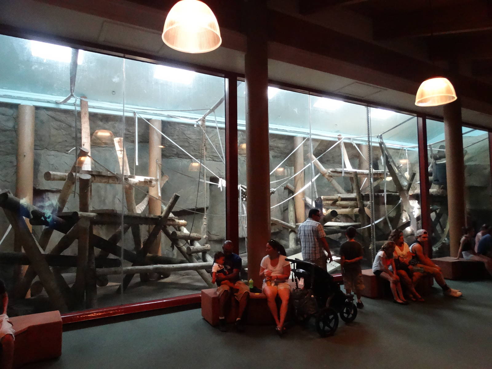 Sep. 2015 - Kingdom of the Apes - Indoor Gorilla Exhibit