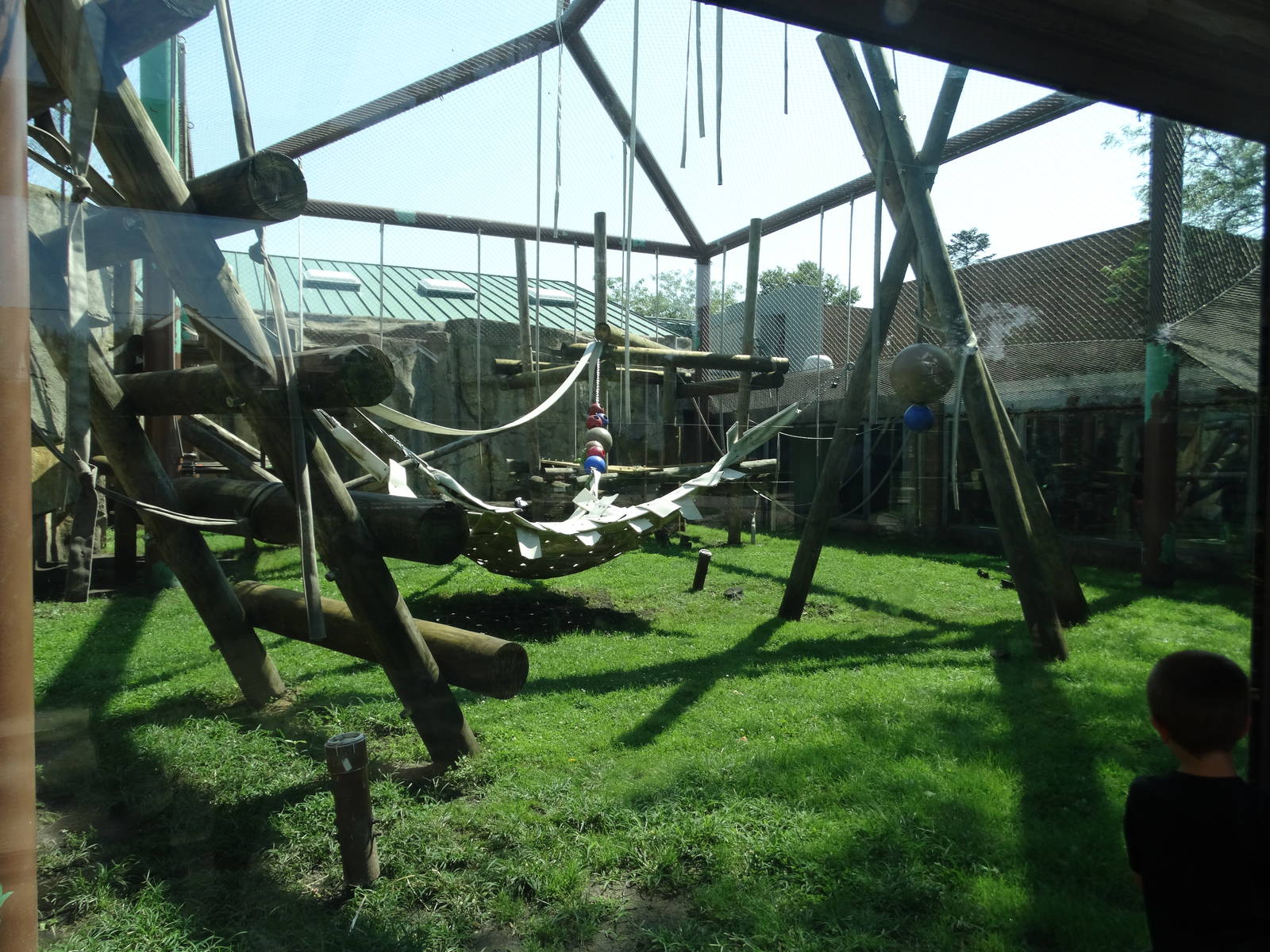 Sep. 2015 - Kingdom of the Apes - Third Bornean Orangutan Exhibit