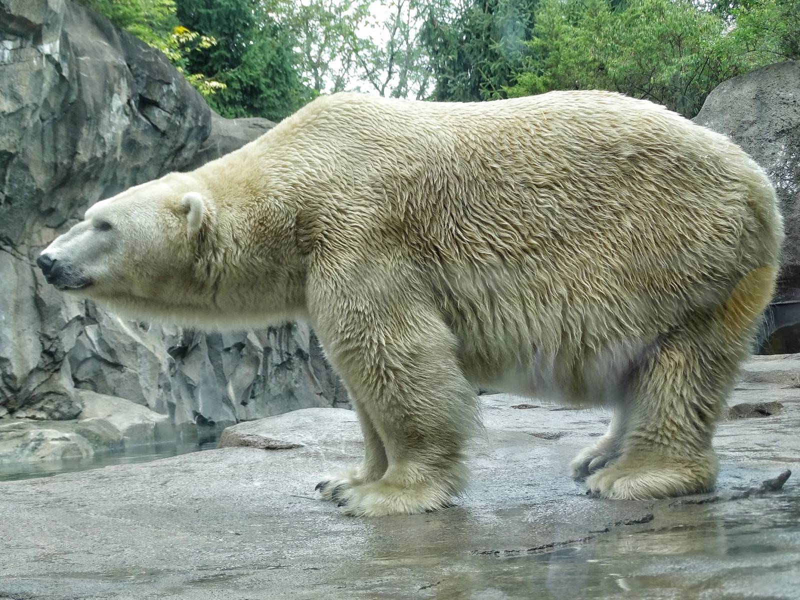 Sep. 2015 - Lords of the Arctic - Berit