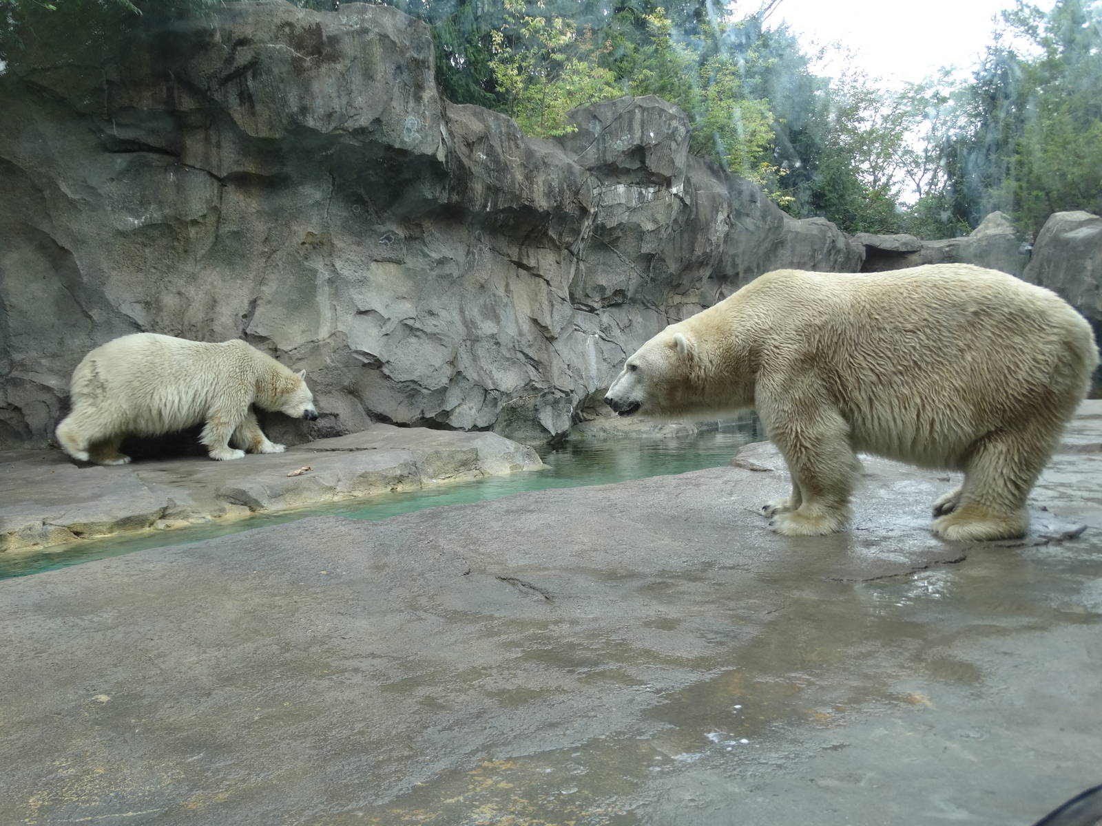 Sep. 2015 - Lords of the Arctic - Little One + Berit