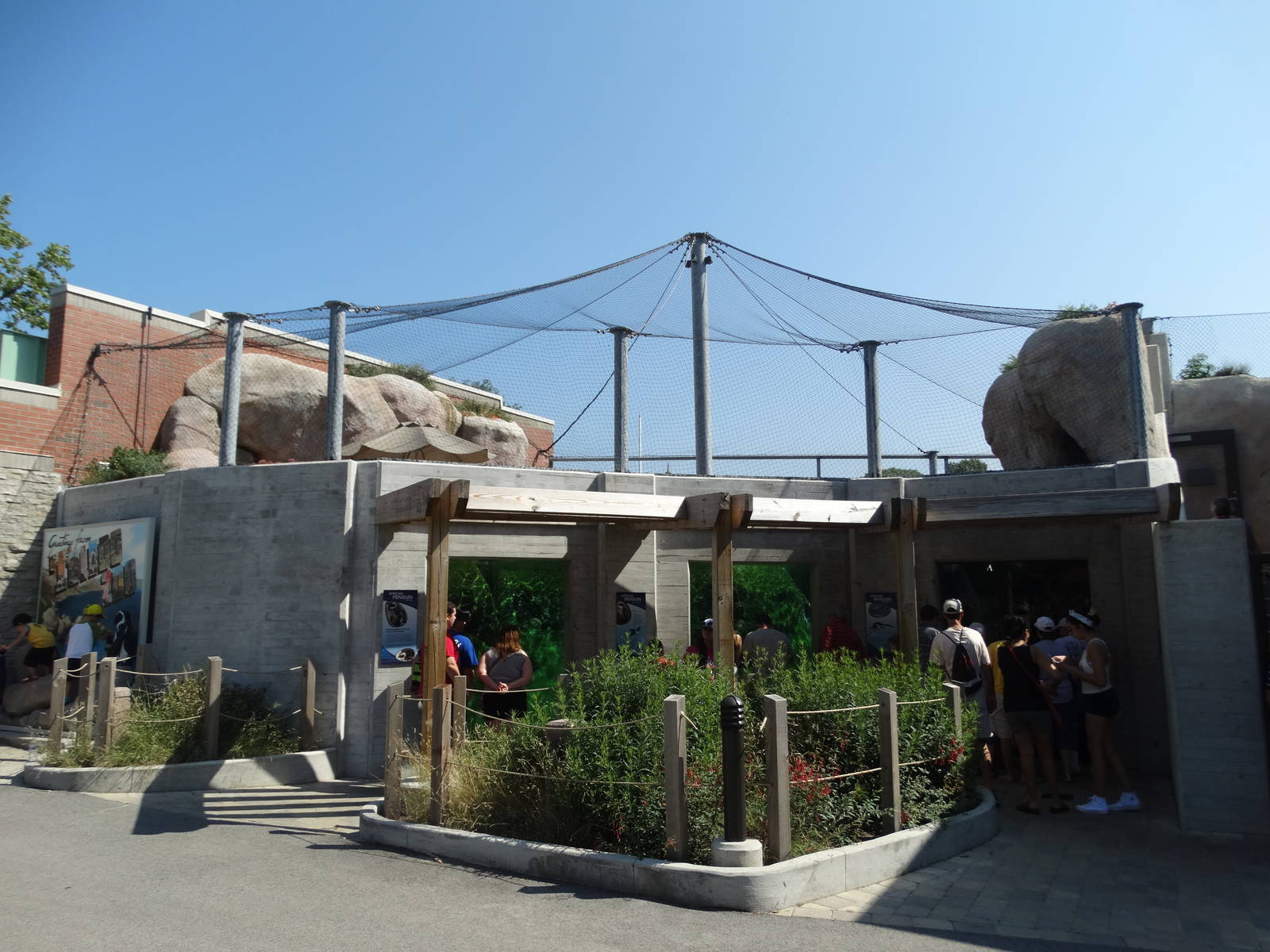 Sep. 2015 - Penguin Beach - East Side Underwater Viewing