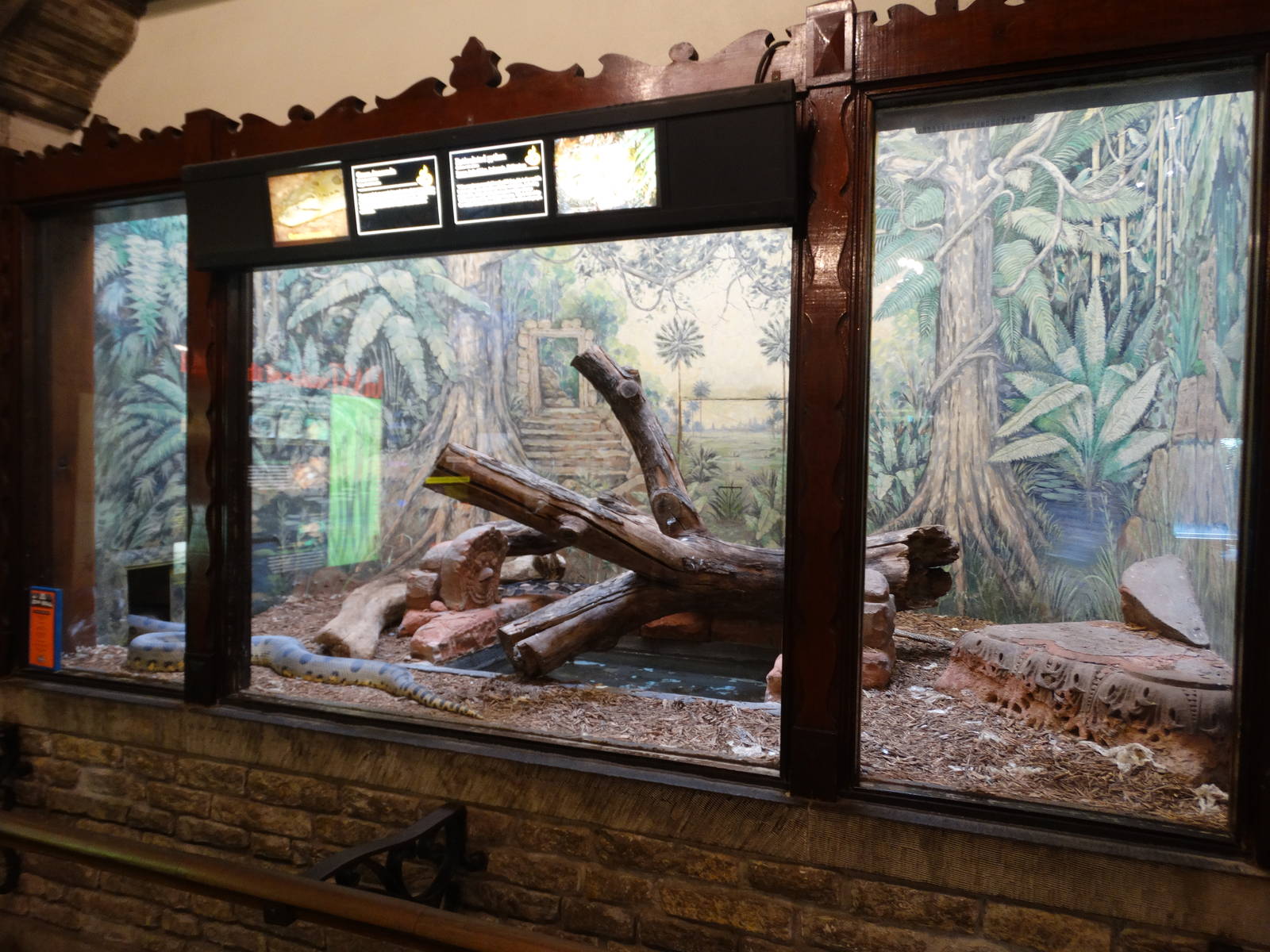 Sep. 2015 - Reptile House - Green Anaconda + Reticulated Python Exhibit