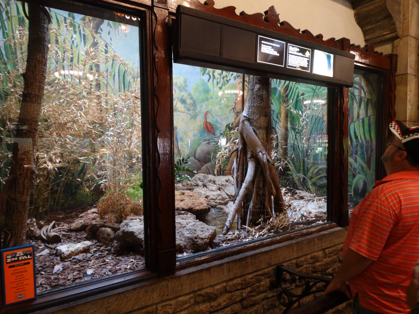 Sep. 2015 - Reptile House - King Cobra Exhibit