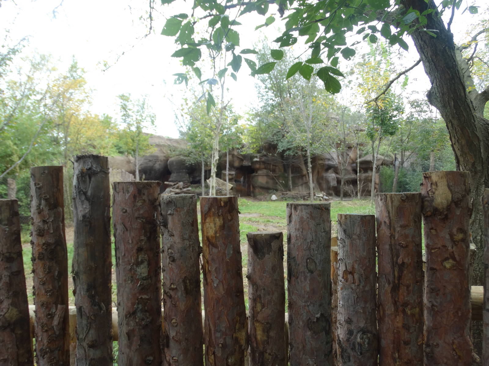 Sep. 2015 - Rhino Reserve - Okapi Exhibit (View at Average Height)