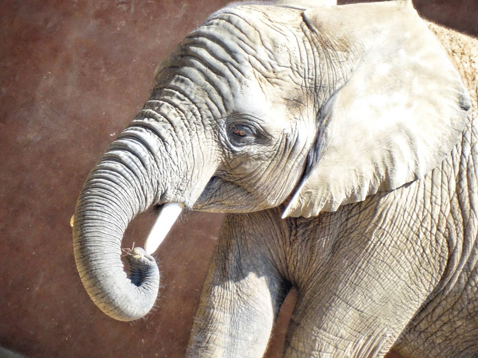 Sep. 2015 - Tembo Trail - Lucas