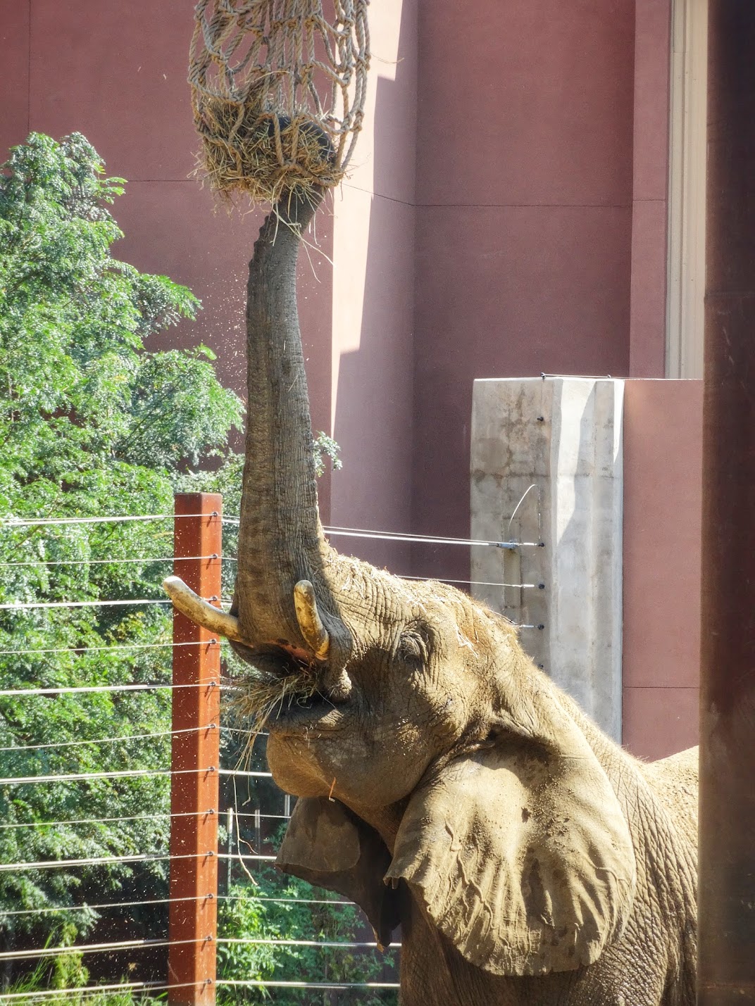 Sep. 2015 - Tembo Trail - Renee