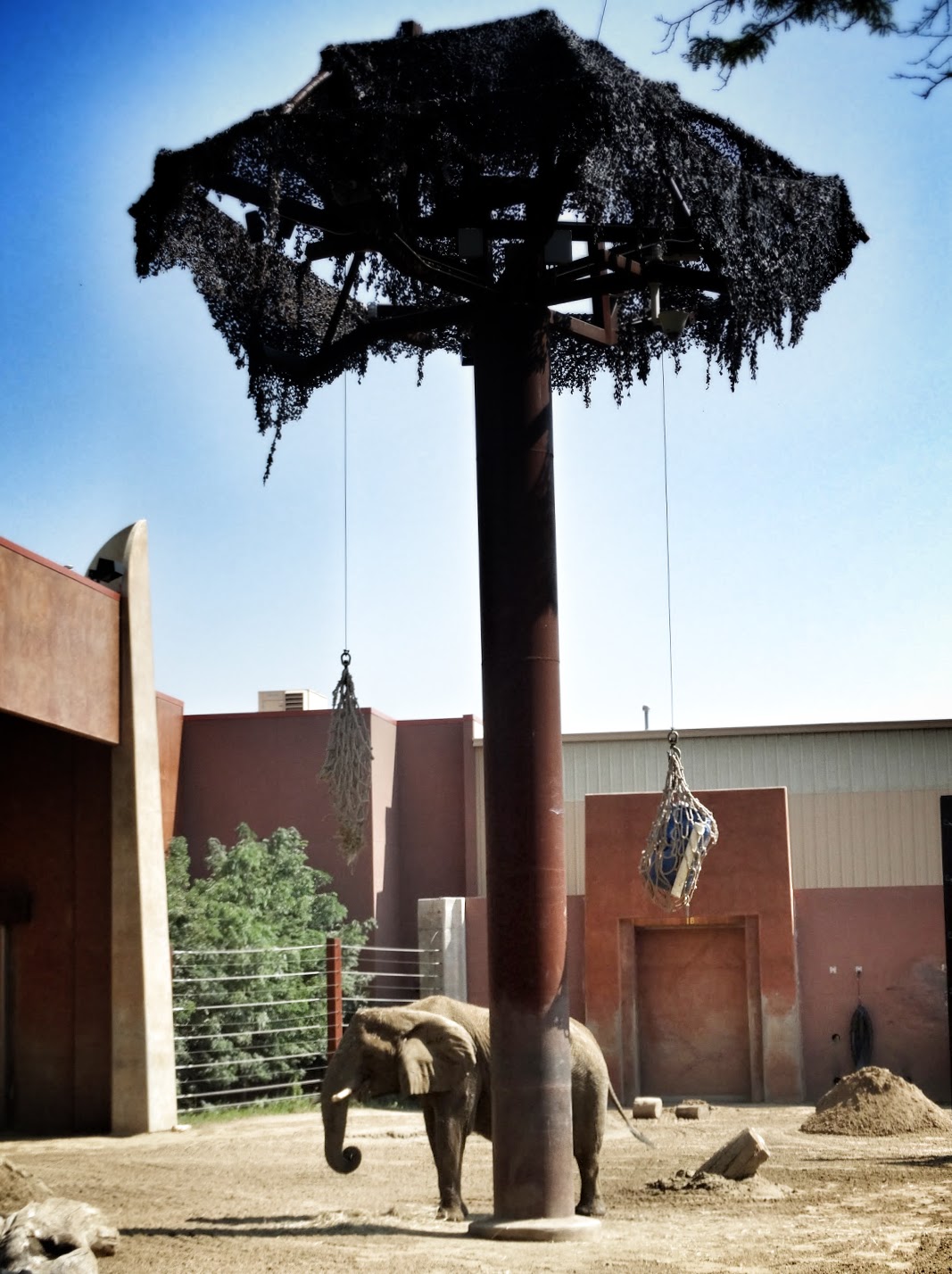 Sep. 2015 - Tembo Trail - Renee