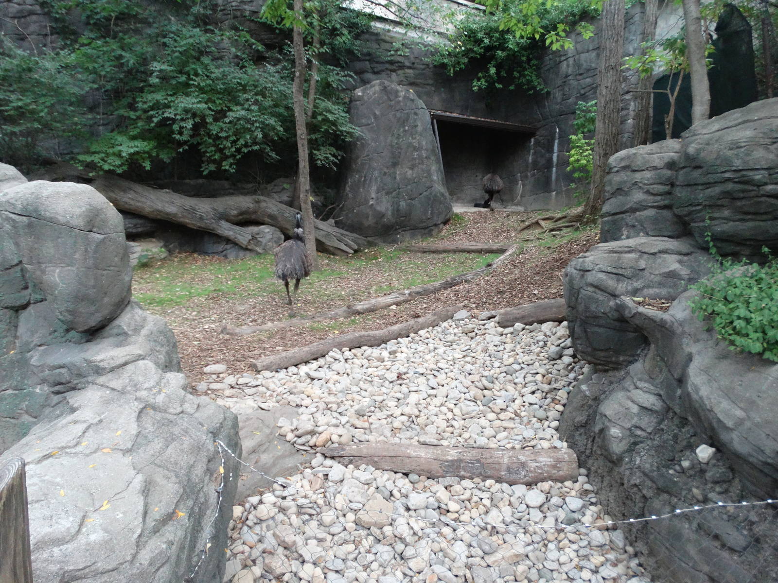 Sep. 2015 - Wildlife Canyon - Emu Exhibit