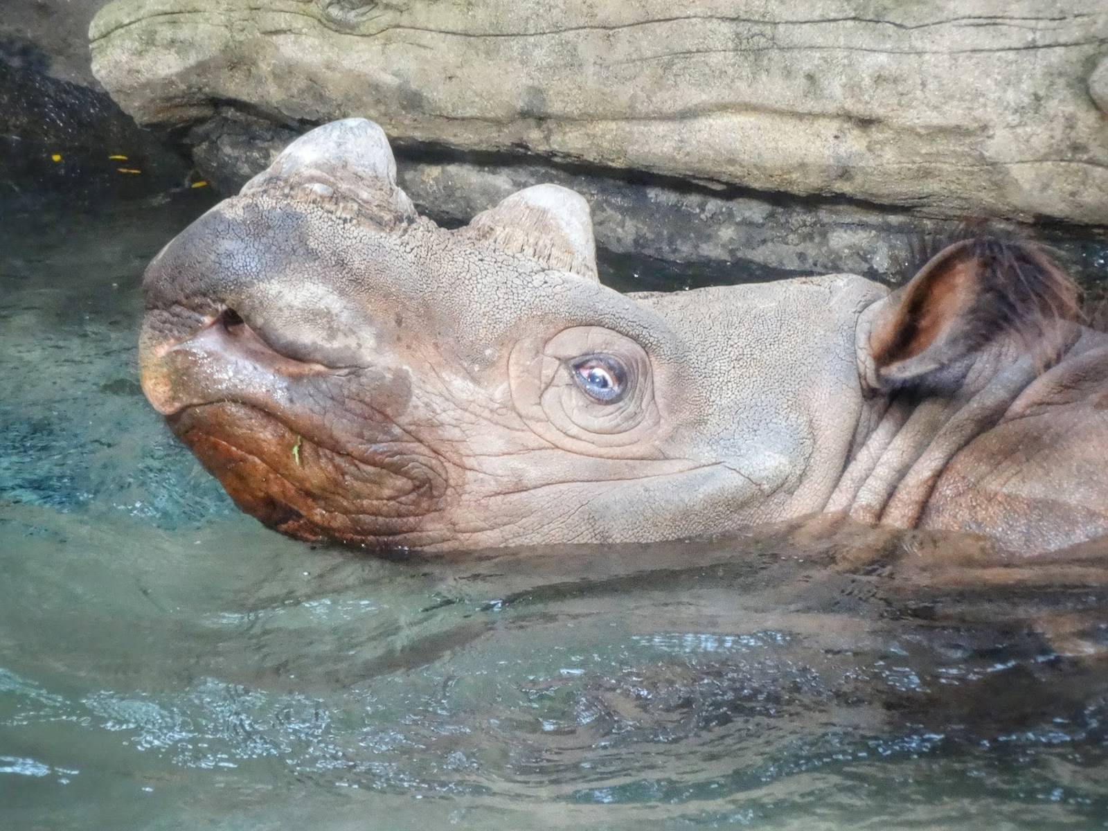 Sep. 2015 - Wildlife Canyon - Harapan