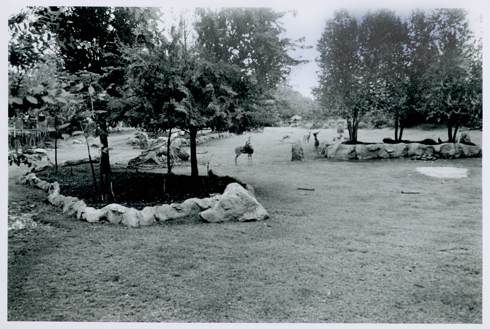 Sep. 2016 - Africa - African Plains Exhibit in Film