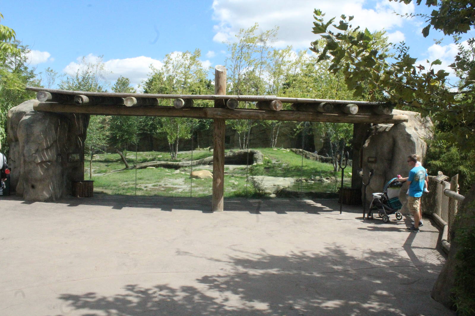 Sep. 2016 - Africa - First Painted Dog Viewing