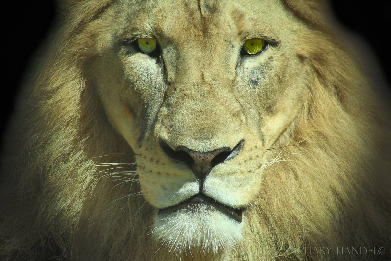 Sep. 2016 - Africa - John