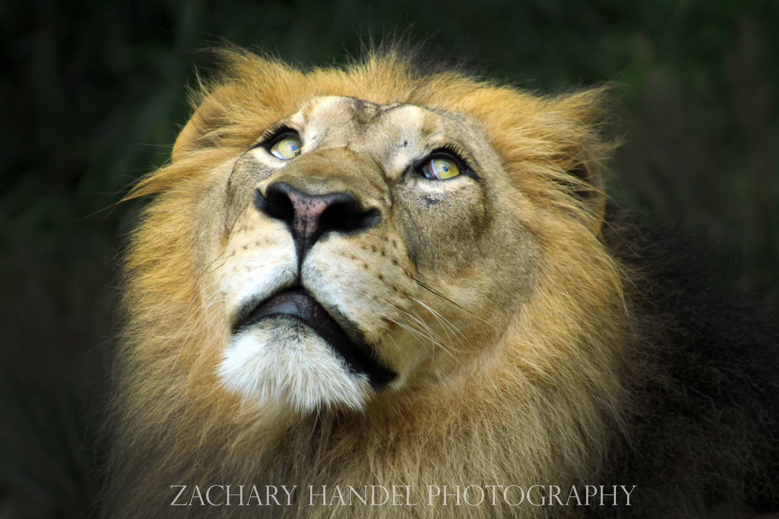 Sep. 2016 - Africa - John