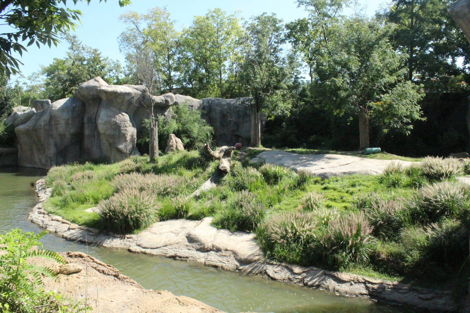 Sep. 2016 - Africa - Lion Exhibit