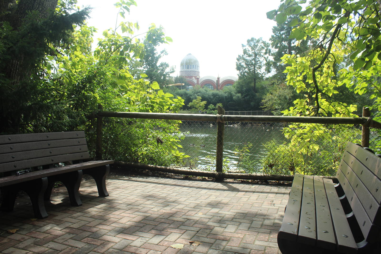 Sep. 2016 - Best Place in the Zoo to Sit