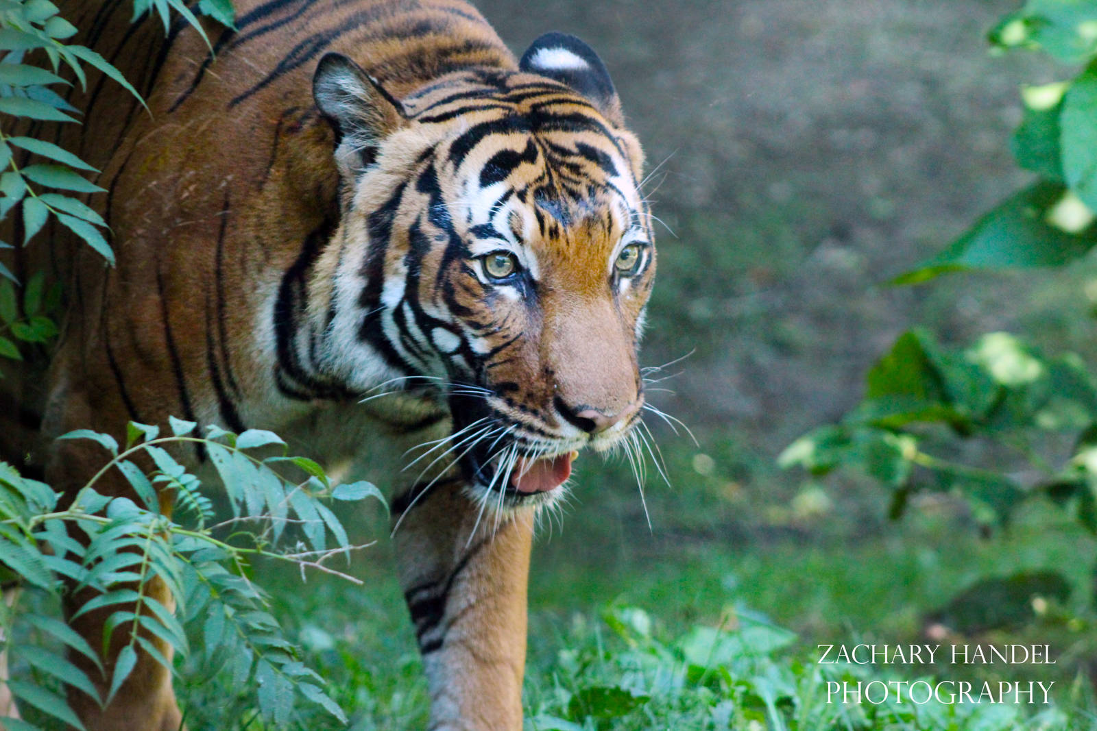 Sep. 2016 - Cat Canyon - Jalil