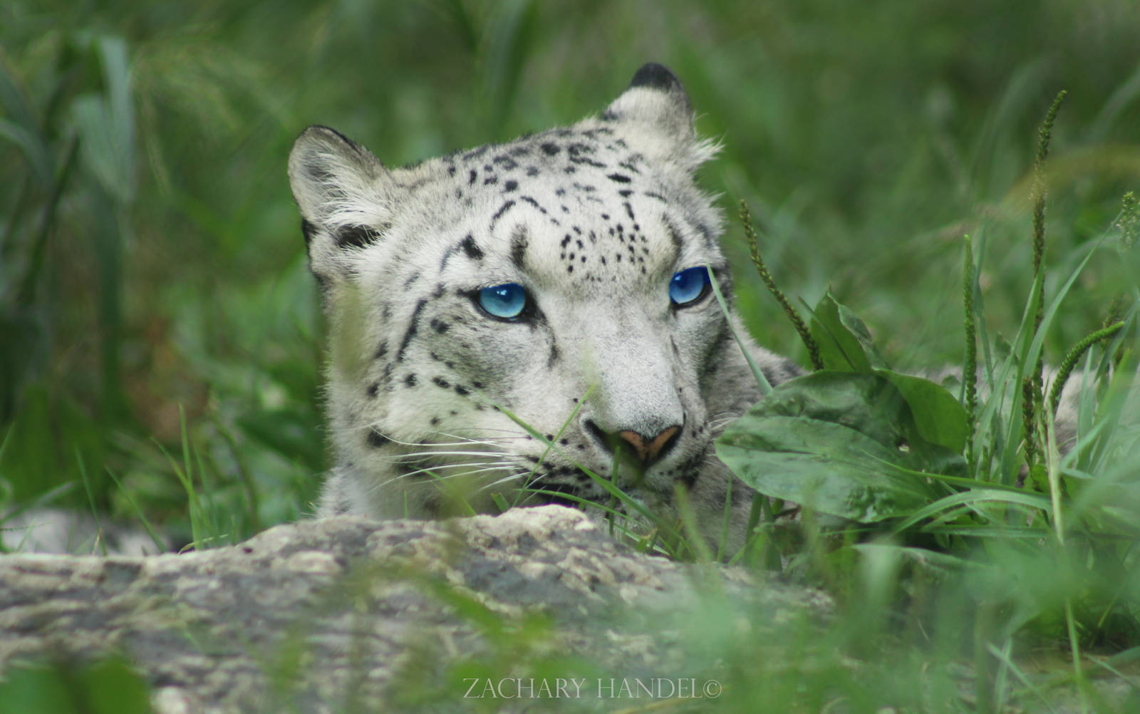 Sep. 2016 - Cat Canyon - Renji