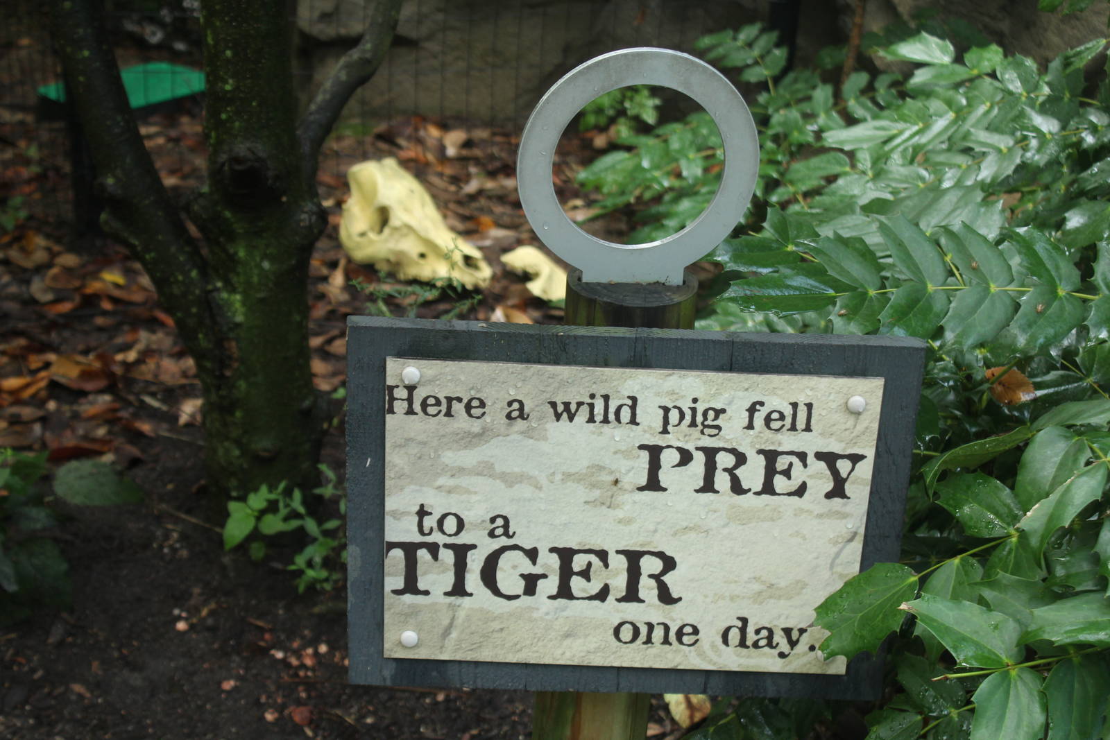 Sep. 2016 - Cat Canyon