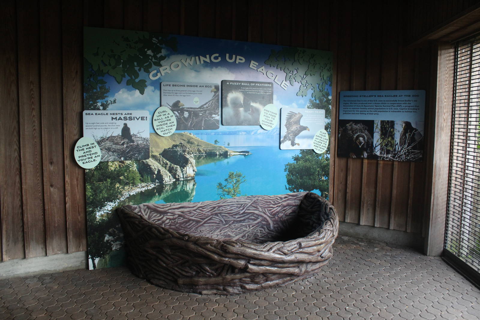 Sep. 2016 - Eagle Eyrie - New Eagle Interactive Nest