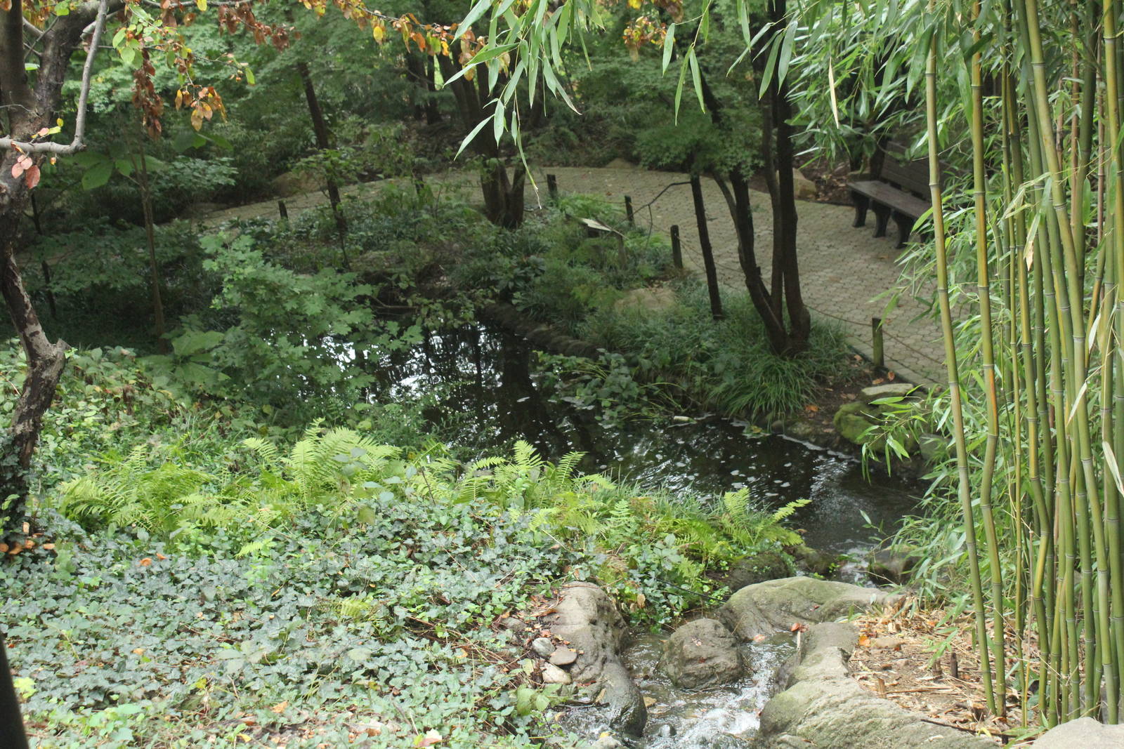 Sep. 2016 - Former Koi Pond (Not Accessible to Guests)