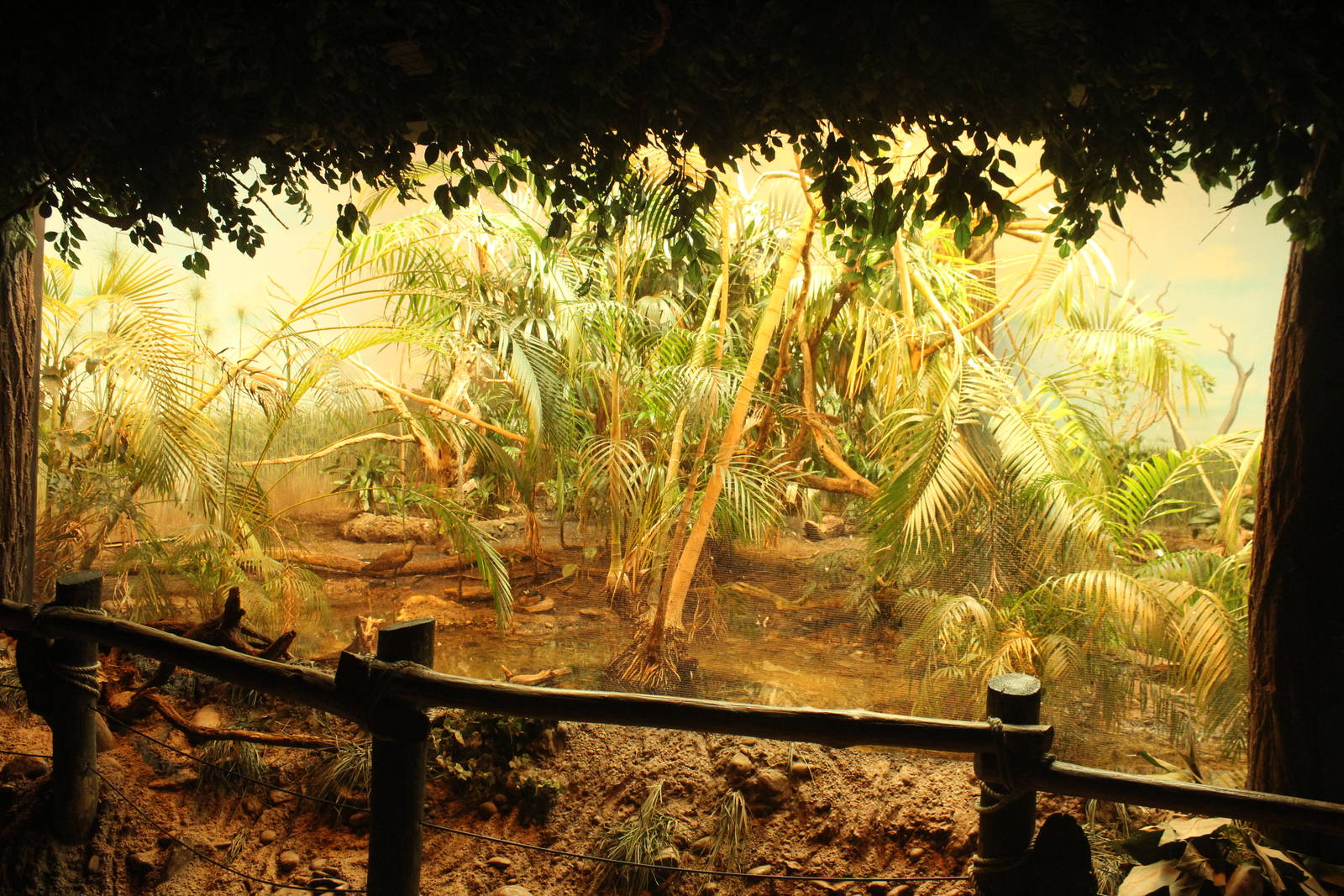 Sep. 2016 - Jungle Trails - Aviary (5 Species)