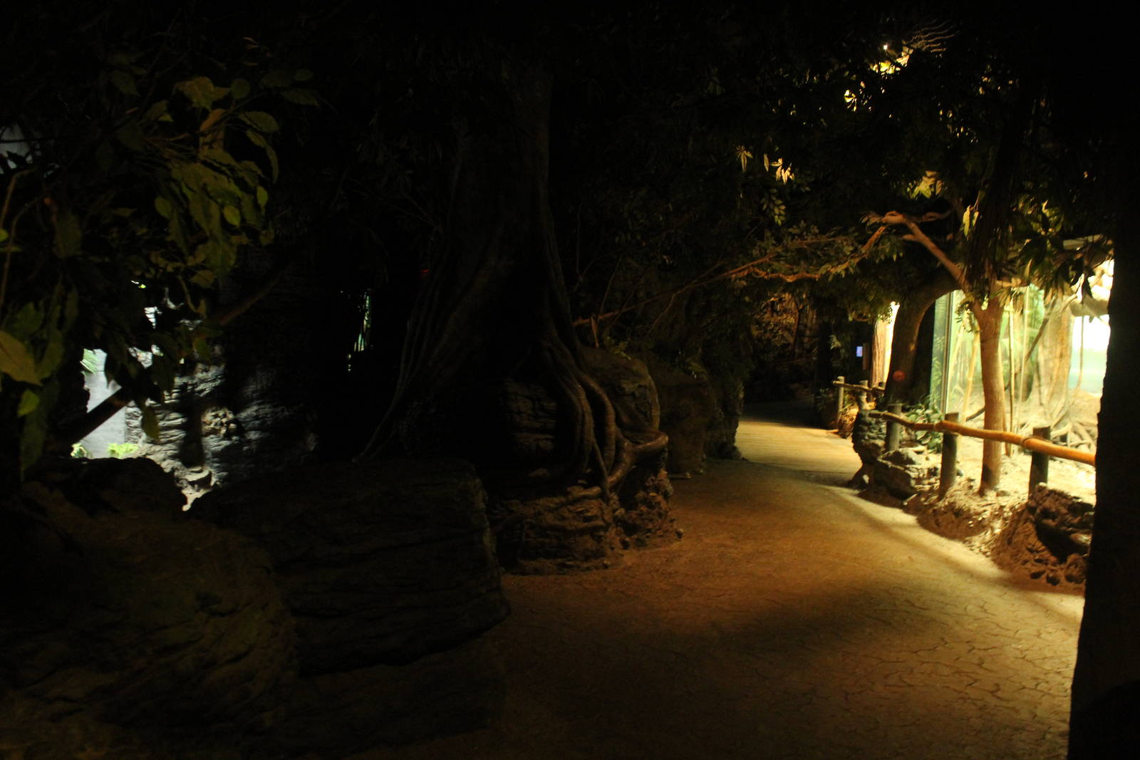 Sep. 2016 - Jungle Trails - Interior of the African Animals Building