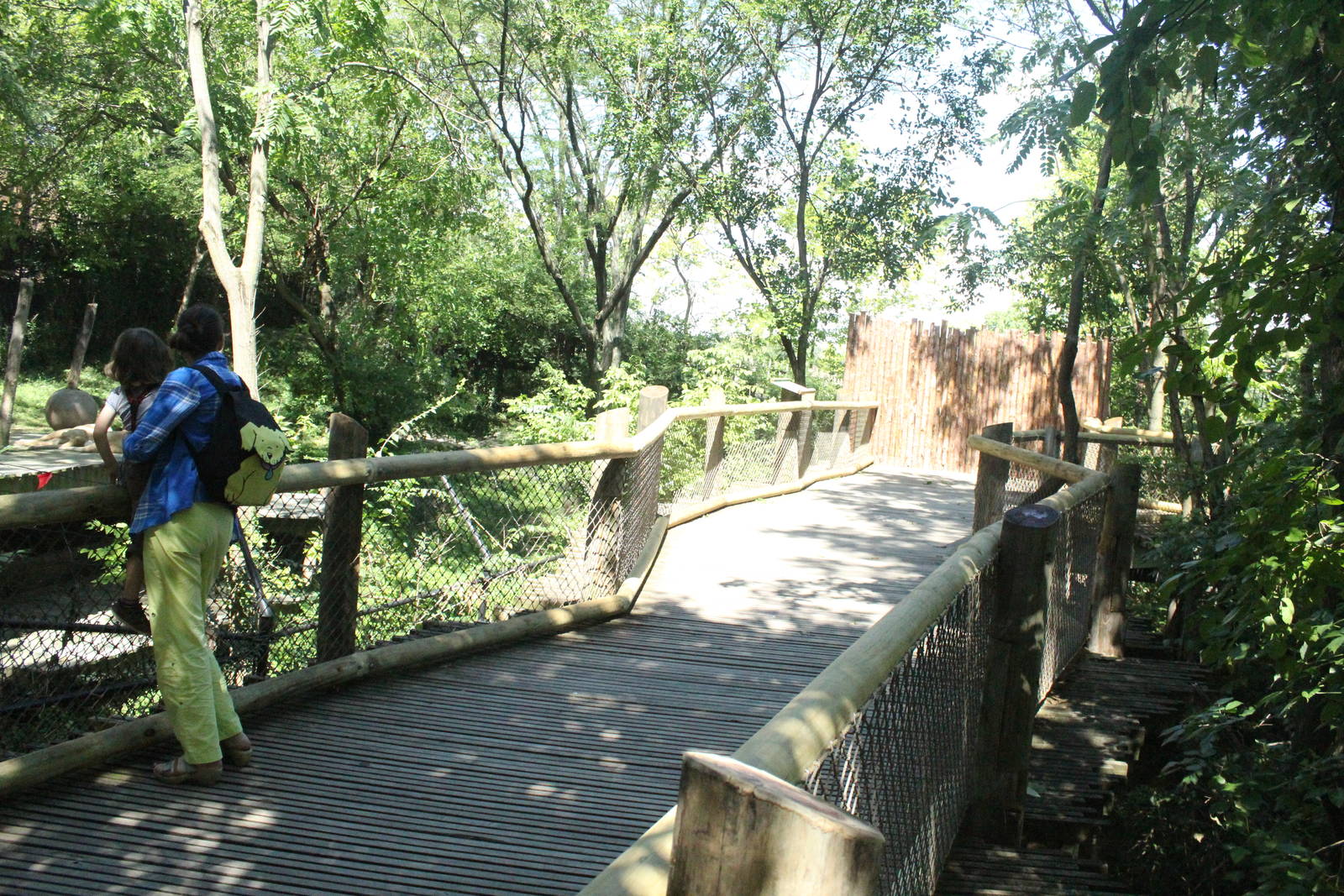 Sep. 2016 - New Fencing at White Lions