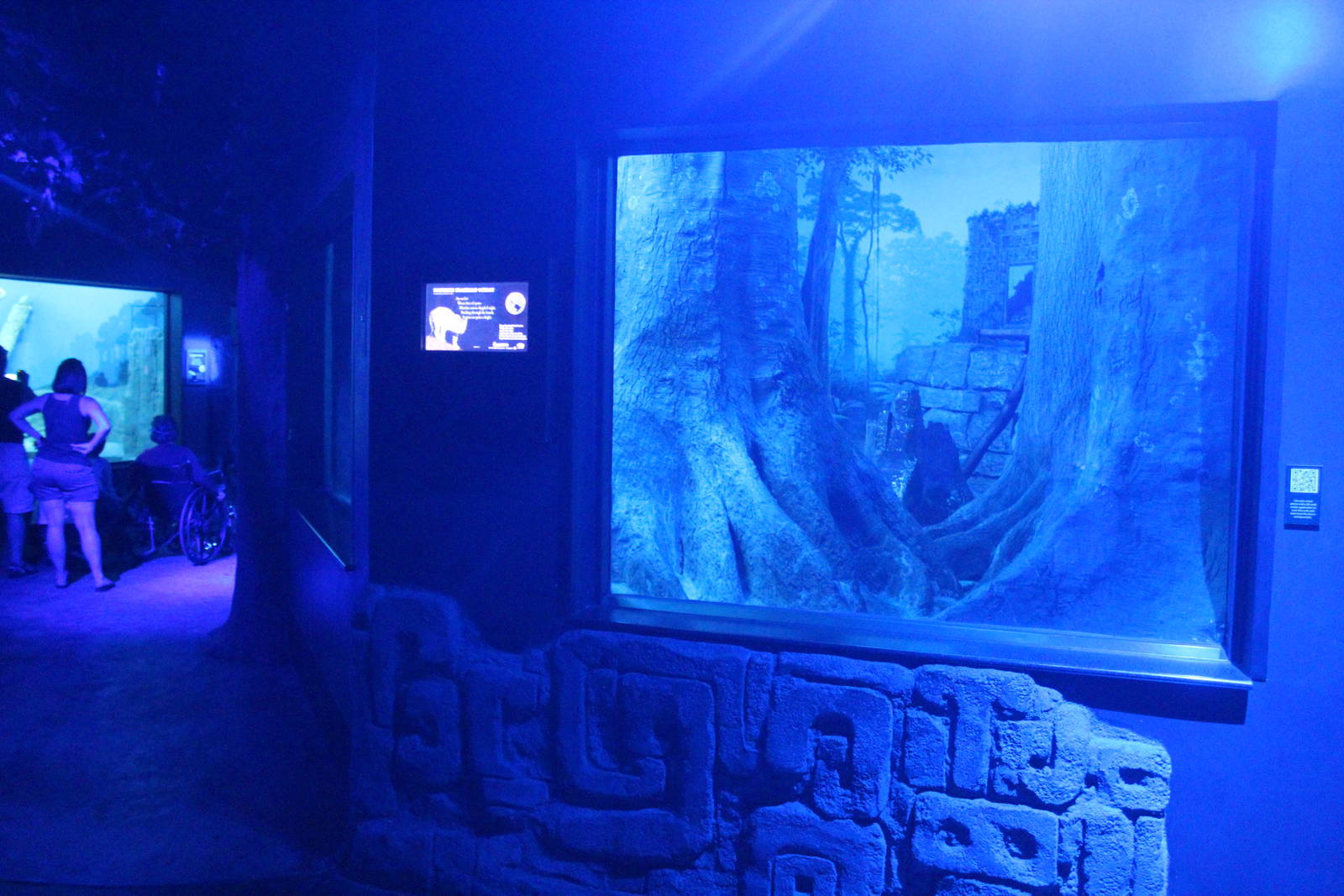 Sep. 2016 - Night Hunters - Ocelot Exhibit 1