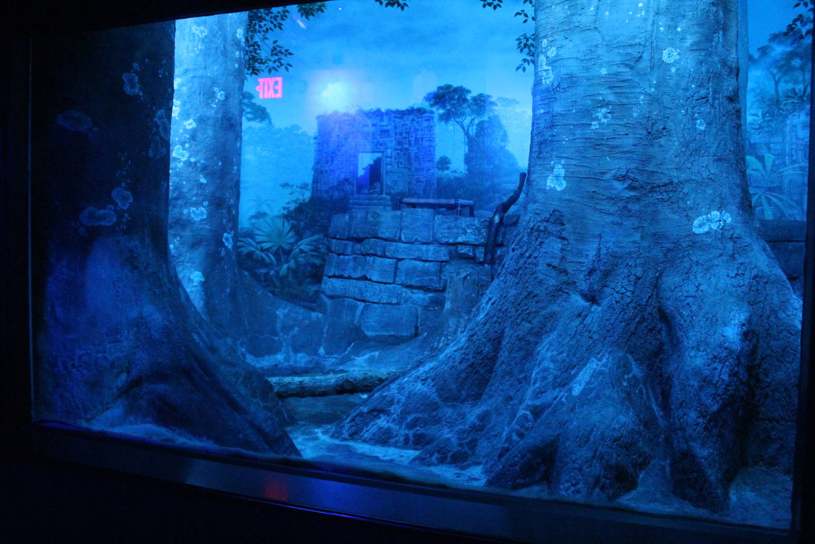 Sep. 2016 - Night Hunters - Ocelot Exhibit 2