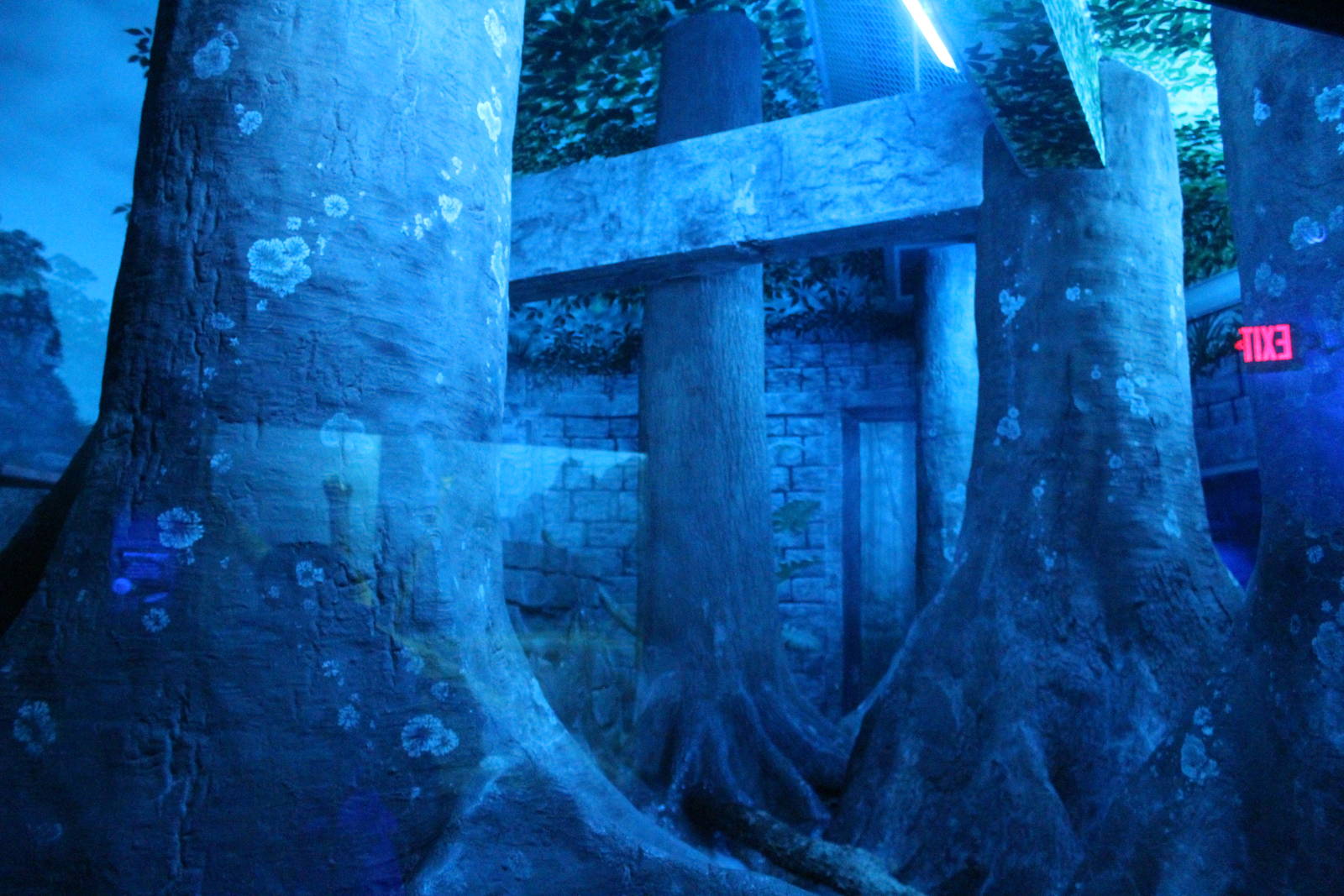 Sep. 2016 - Night Hunters - Ocelot Exhibit 3